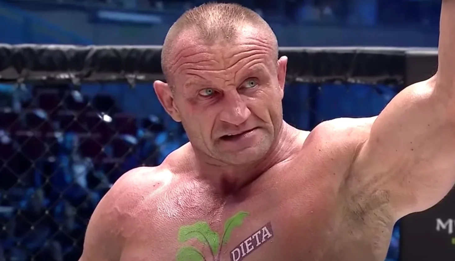 mariusz pudzianowski to fight at ksw 100 event