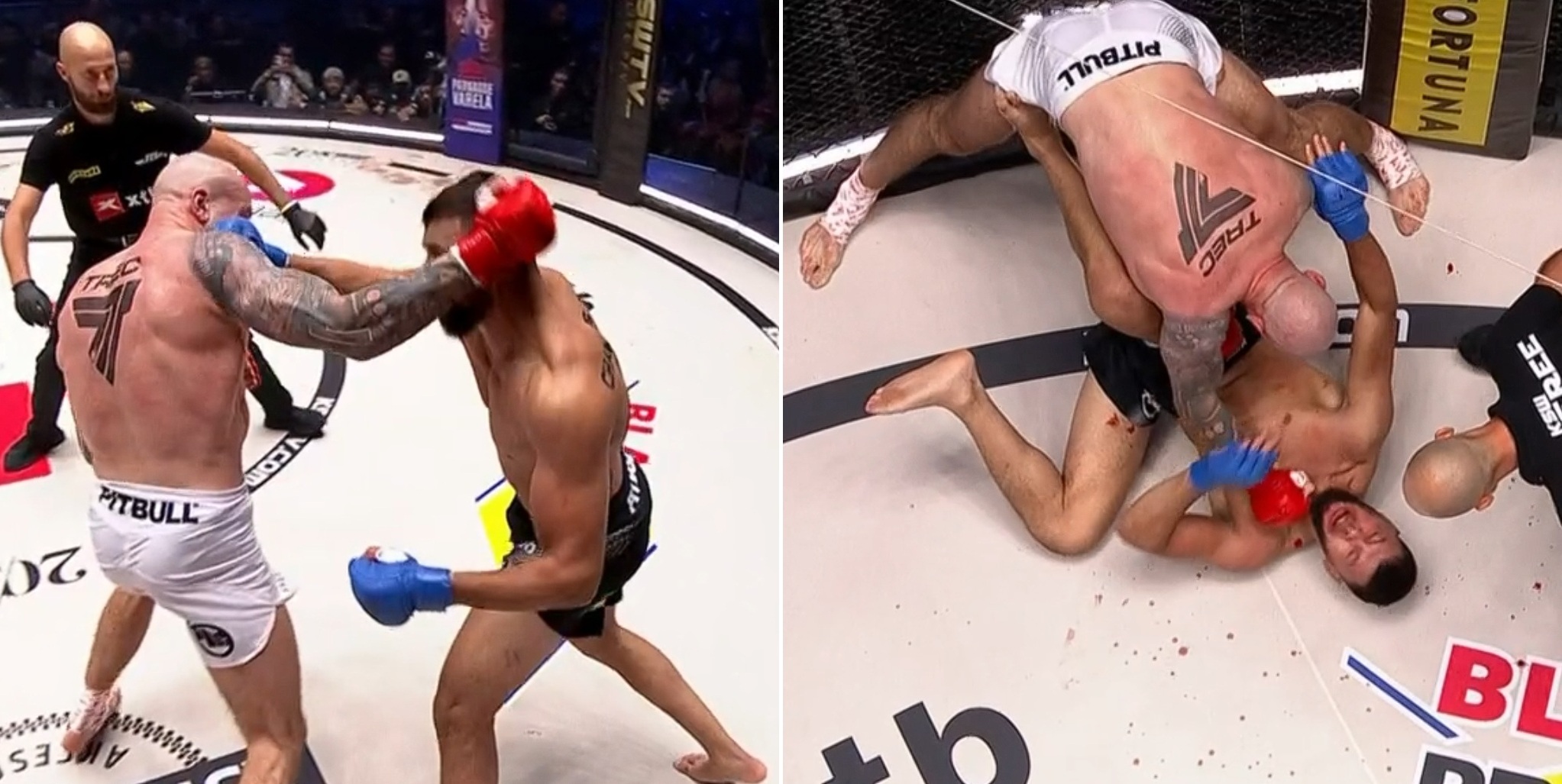 ksw 98 radoslaw paczuski knocked out laid zerhouni video